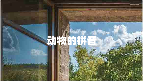 動(dòng)物的拼音