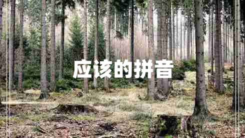 應(yīng)該的拼音 應(yīng)該的拼音