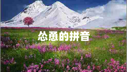 慫恿的拼音 慫恿的拼音