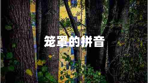 籠罩的拼音 籠罩的拼音