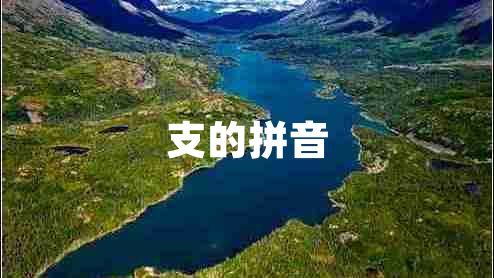支的拼音 支的拼音