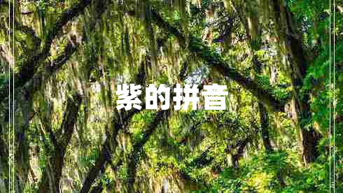 紫的拼音 紫的拼音