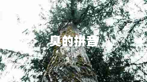 臭的拼音 臭的拼音