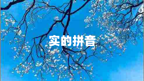 實(shí)的拼音 實(shí)的拼音