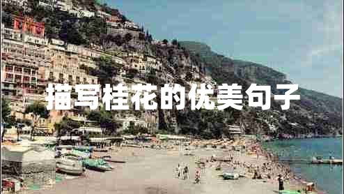 描寫桂花的優(yōu)美句子