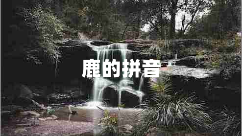 鹿的拼音 鹿的拼音