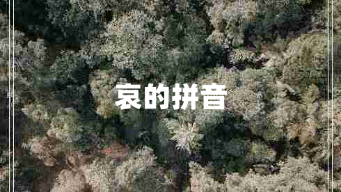 哀的拼音 哀的拼音