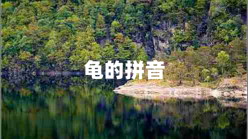 龜?shù)钠匆? title=