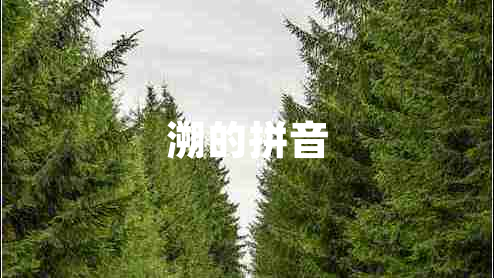 溯的拼音 溯的拼音