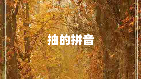 抽的拼音 抽的拼音