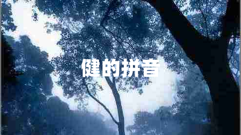 健的拼音 健的拼音