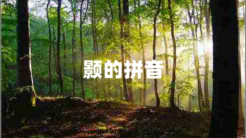 顥的拼音 顥的拼音