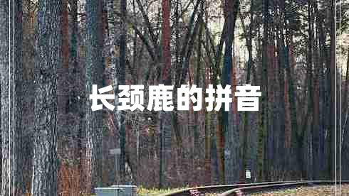 長(zhǎng)頸鹿的拼音