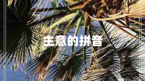 主意的拼音 主意的拼音