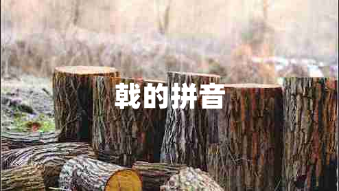 戟的拼音 戟的拼音