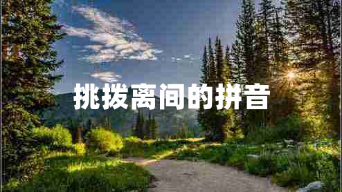 挑撥離間的拼音