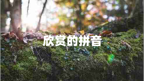 欣賞的拼音 欣賞的拼音