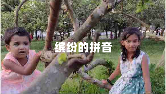 繽紛的拼音 繽紛的拼音