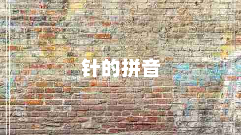 針的拼音 針的拼音