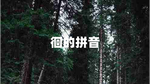 徊的拼音 徊的拼音