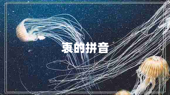 衷的拼音 衷的拼音