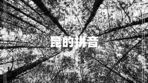 昆的拼音 昆的拼音