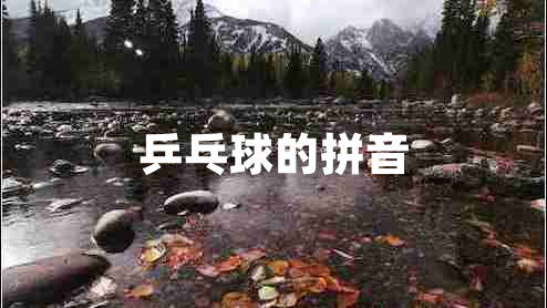 乒乓球的拼音 乒乓球的拼音