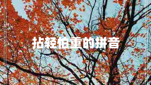 拈輕怕重的拼音