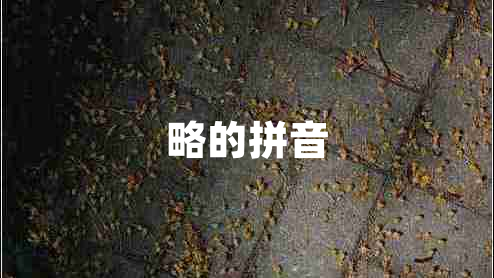 略的拼音 略的拼音