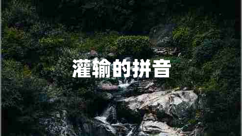 灌輸的拼音 灌輸的拼音