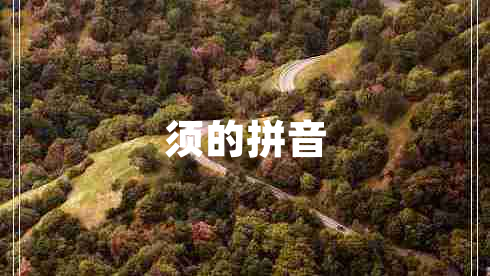 須的拼音 須的拼音