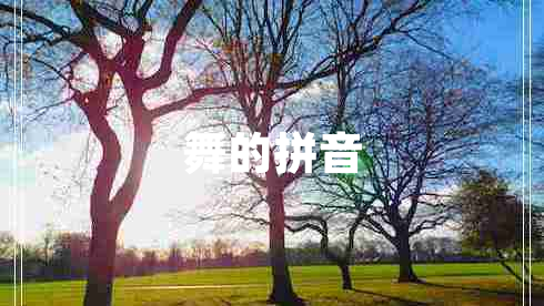 舞的拼音 舞的拼音