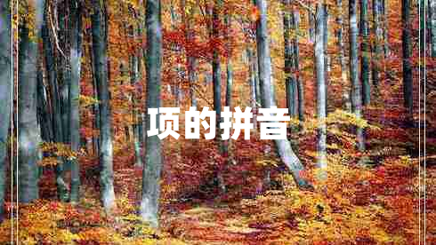 項(xiàng)的拼音 項(xiàng)的拼音