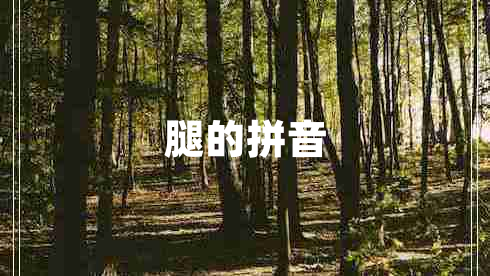 腿的拼音 腿的拼音