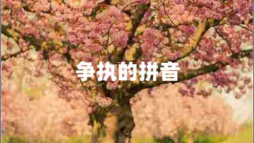 爭執(zhí)的拼音