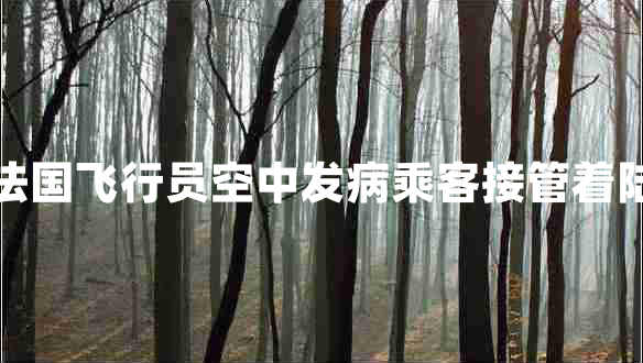 法國(guó)飛行員空中發(fā)病乘客接管著陸