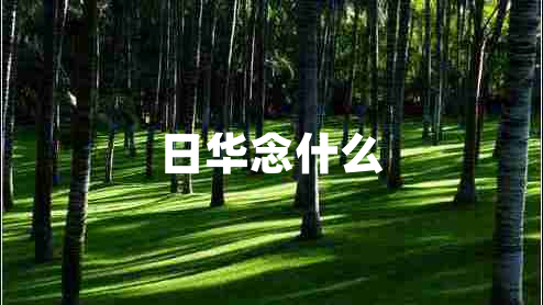 日華念什么