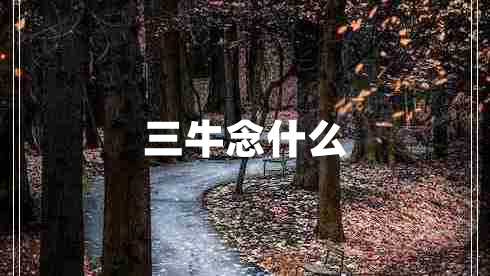 三牛念什么 三牛念什么
