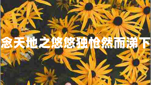 念天地之悠悠獨愴然而涕下