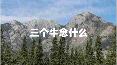 三個牛念什么 三個牛念什么
