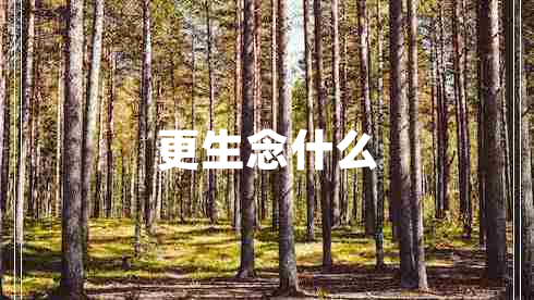 更生念什么 更生念什么