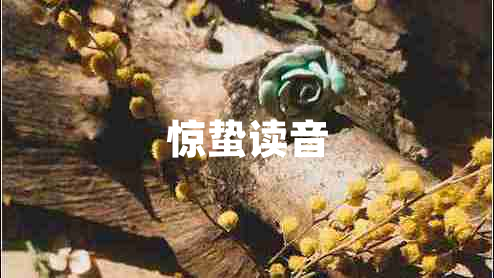 驚蟄讀音
