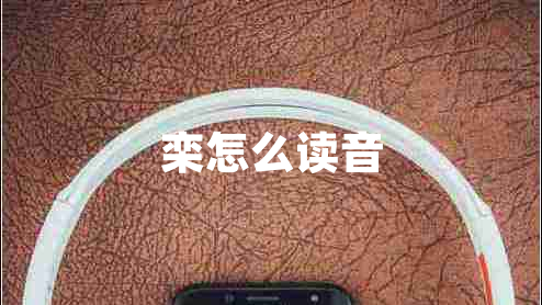 欒怎么讀音 欒怎么讀音