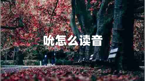 吮怎么讀音 吮怎么讀音