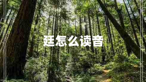 廷怎么讀音 廷怎么讀音