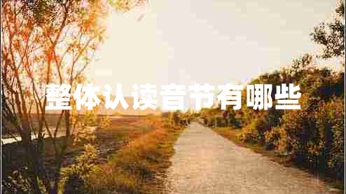 整體認讀音節(jié)有哪些