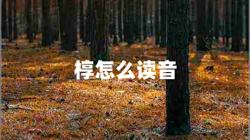槨怎么讀音