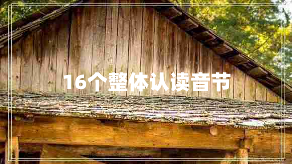 16個整體認(rèn)讀音節(jié)