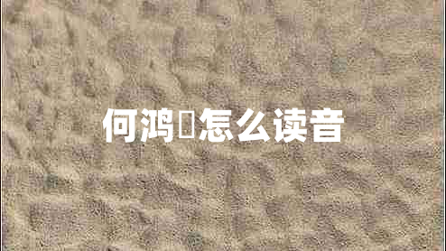 何鴻燊怎么讀音