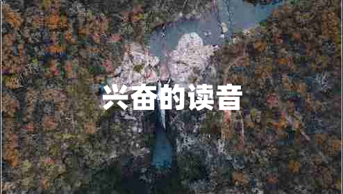 興奮的讀音 興奮的讀音